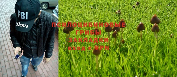 бошки Алексин