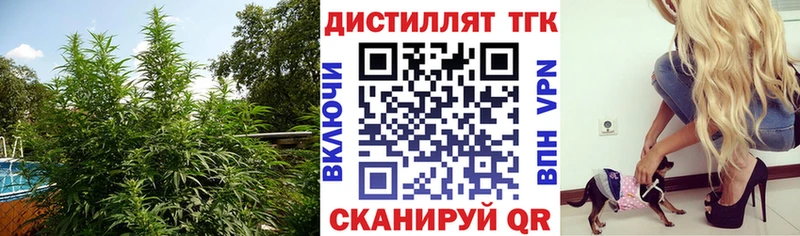 закладки  Комсомольск  ТГК вейп с тгк 